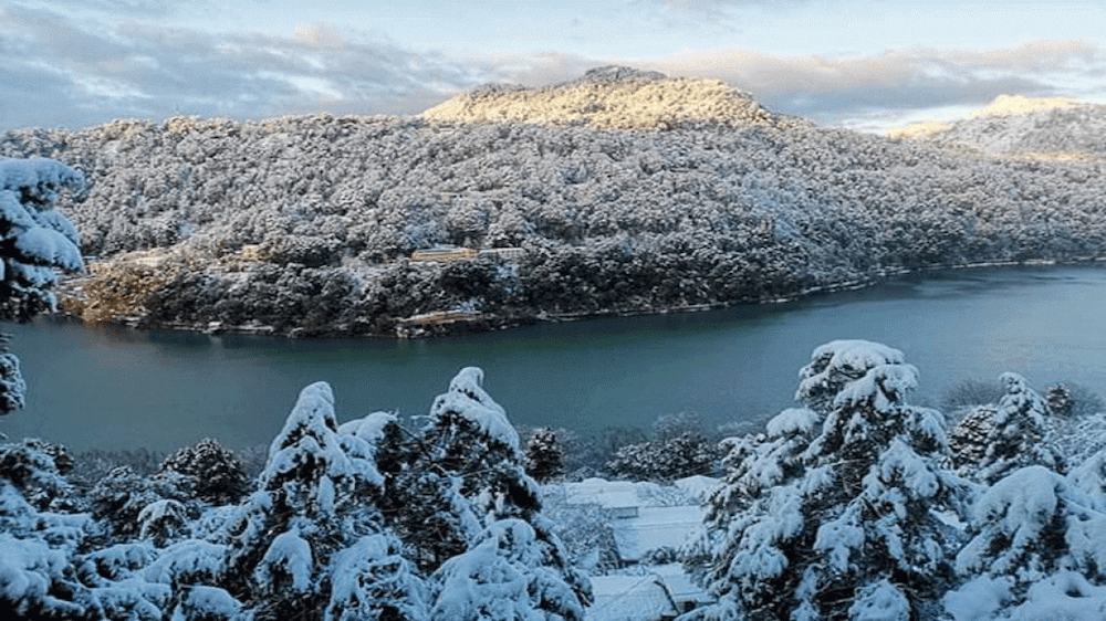 Nainital Business Directory