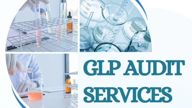 3-GLP-Audit-Services.jpg