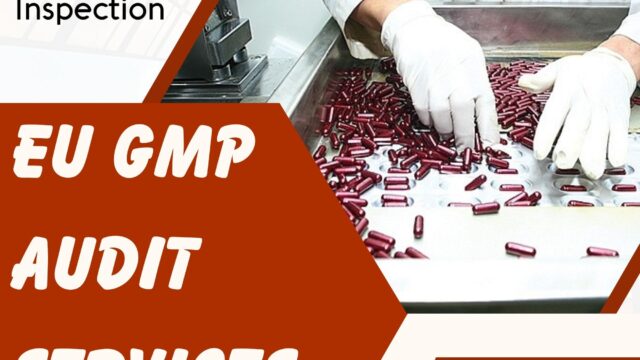EU-GMP-Audit-Services5.jpg