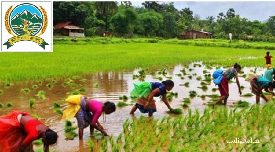 agriculture-department-uttarakhand.jpg