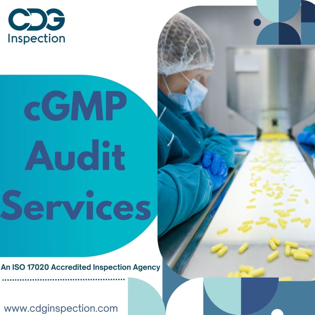 cGMP-Audit-Services-4.jpg
