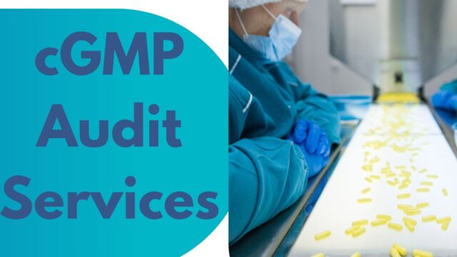 cGMP-Audit-Services-4.jpg