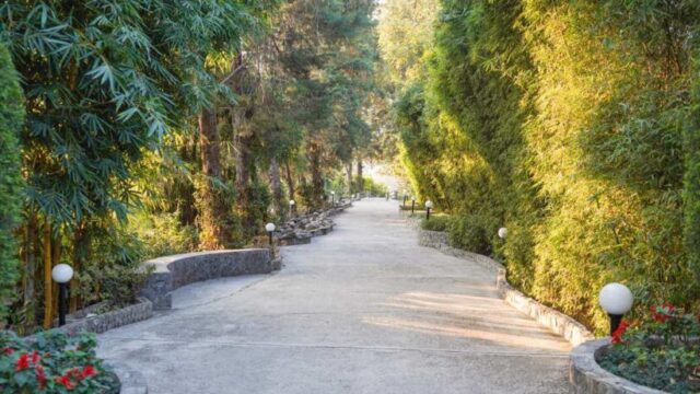 country-inn-bhimtal-walk-924×462-1.jpg