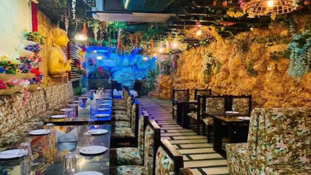 jungle-fiesta-restaurant-haldwani.jpg