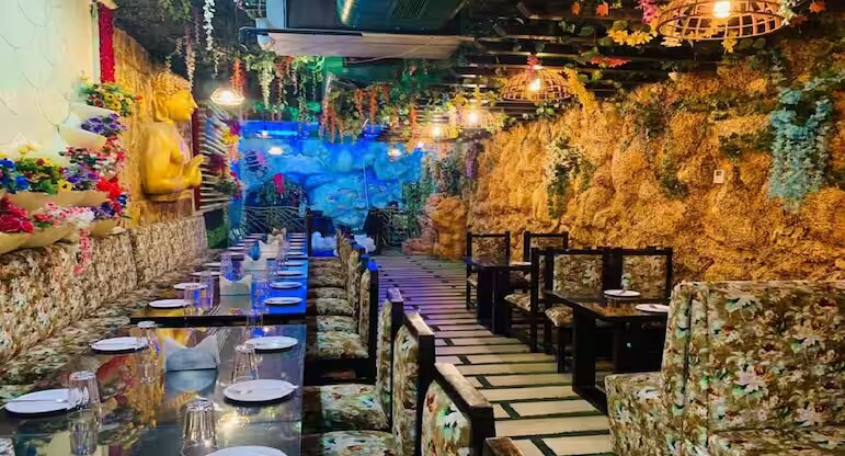 jungle-fiesta-restaurant-haldwani.jpg