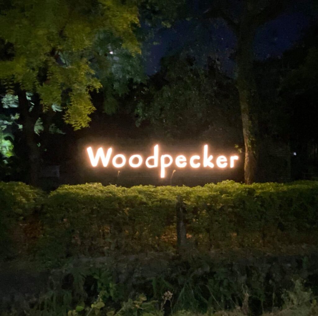 woodpecker-haldwani.jpg